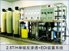 2.5T单级反渗透加EDI装置系统