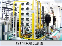 12T双级反渗透